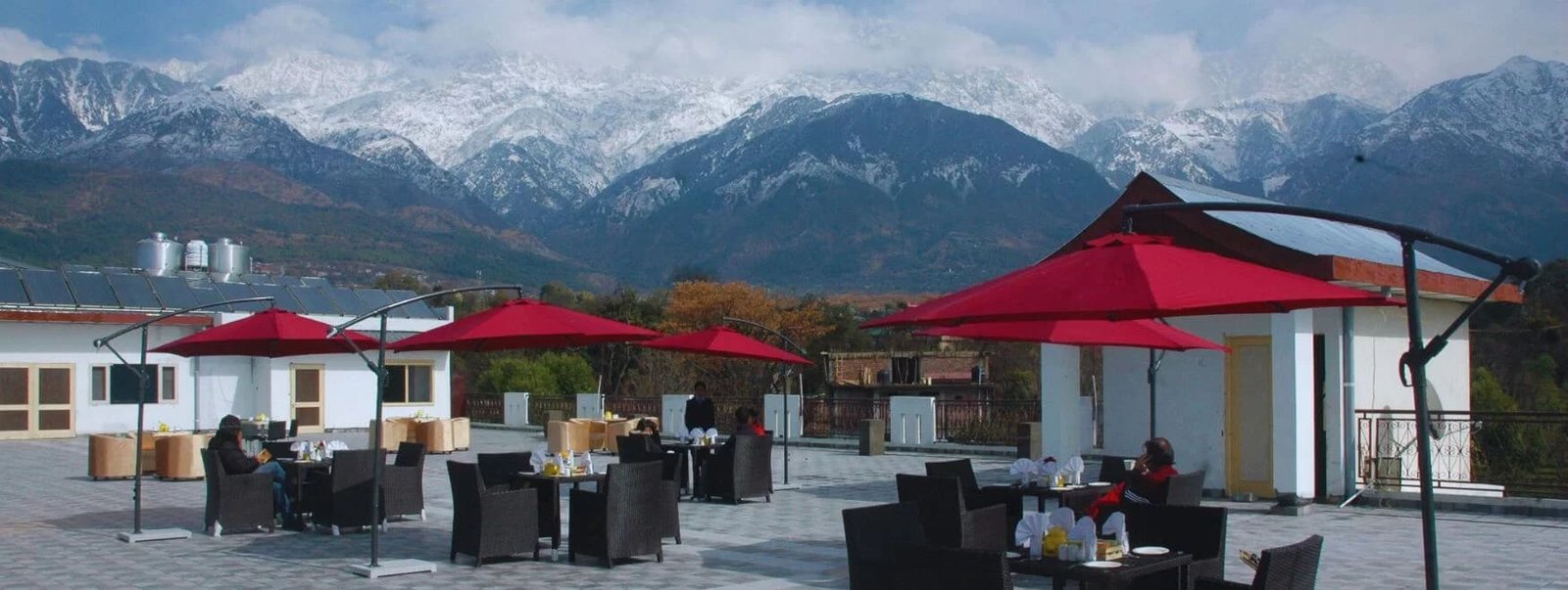 Terrace Bar and Cafe