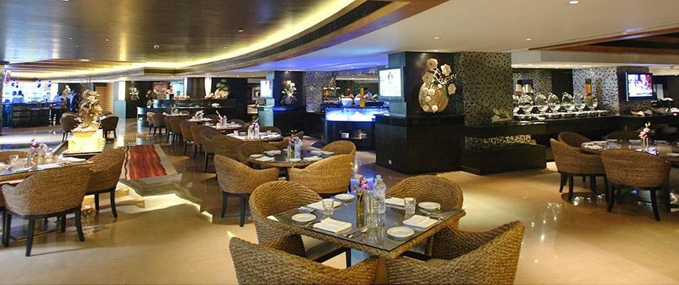 Dine Earth Plate