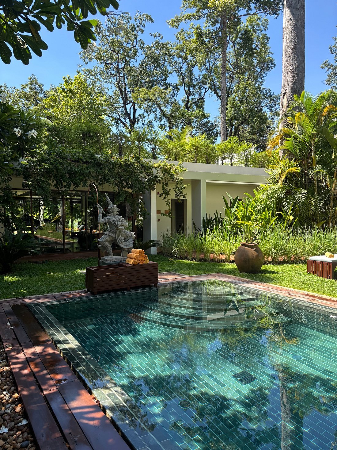 Scribe Bar Courtyard under Centuries Old Banyan Trees