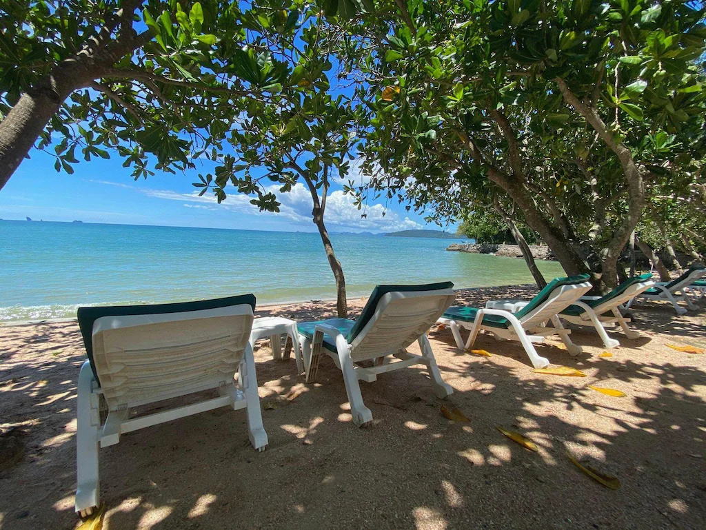Tropical Garden Relaxation Areas